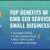 Top Benefits of Hiring GMB SEO Services for Small Businesses